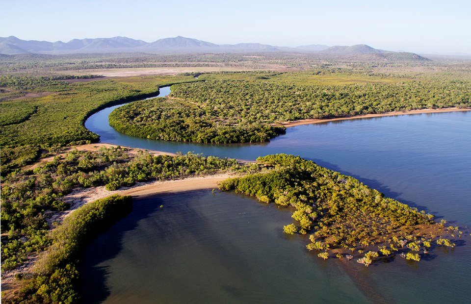 Aerial view of a river winding through mangroves to the coast